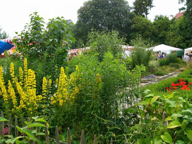 Bauerngarten im Sommer 2009