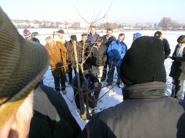 Winterschnitt 2009