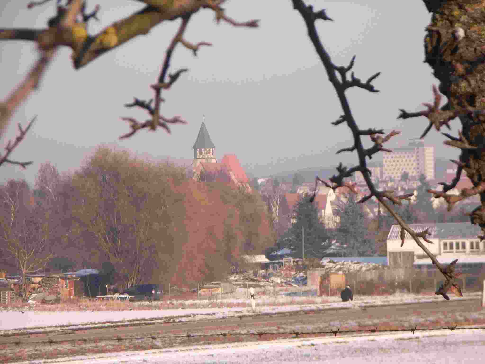 Winterschnitt 2009