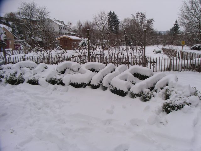 Bauerngarten im Winter 2009