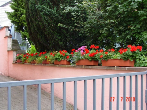 Blumenschmuck in Eglosheim im Sommer 2010