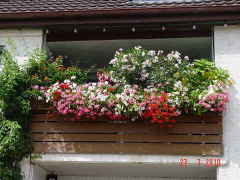 Blumenschmuck in Eglosheim im Sommer 2010