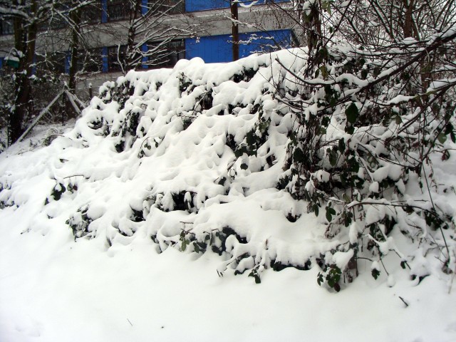 Riedgraben im Winter