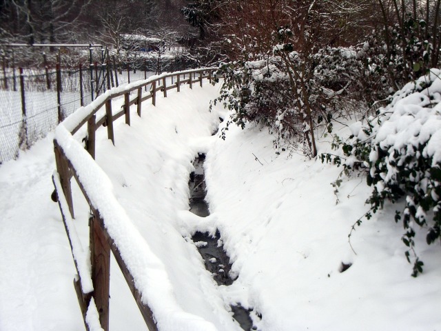 Riedgraben im Winter