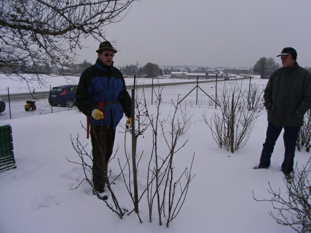 Winterschnitt 2010
