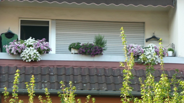 Blumenschmuck in Eglosheim im Sommer 2011